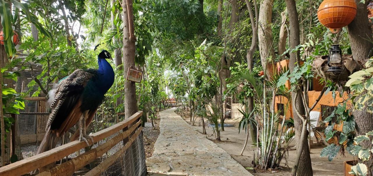 Hosteria Ecologica El Faro Salinas  Εξωτερικό φωτογραφία