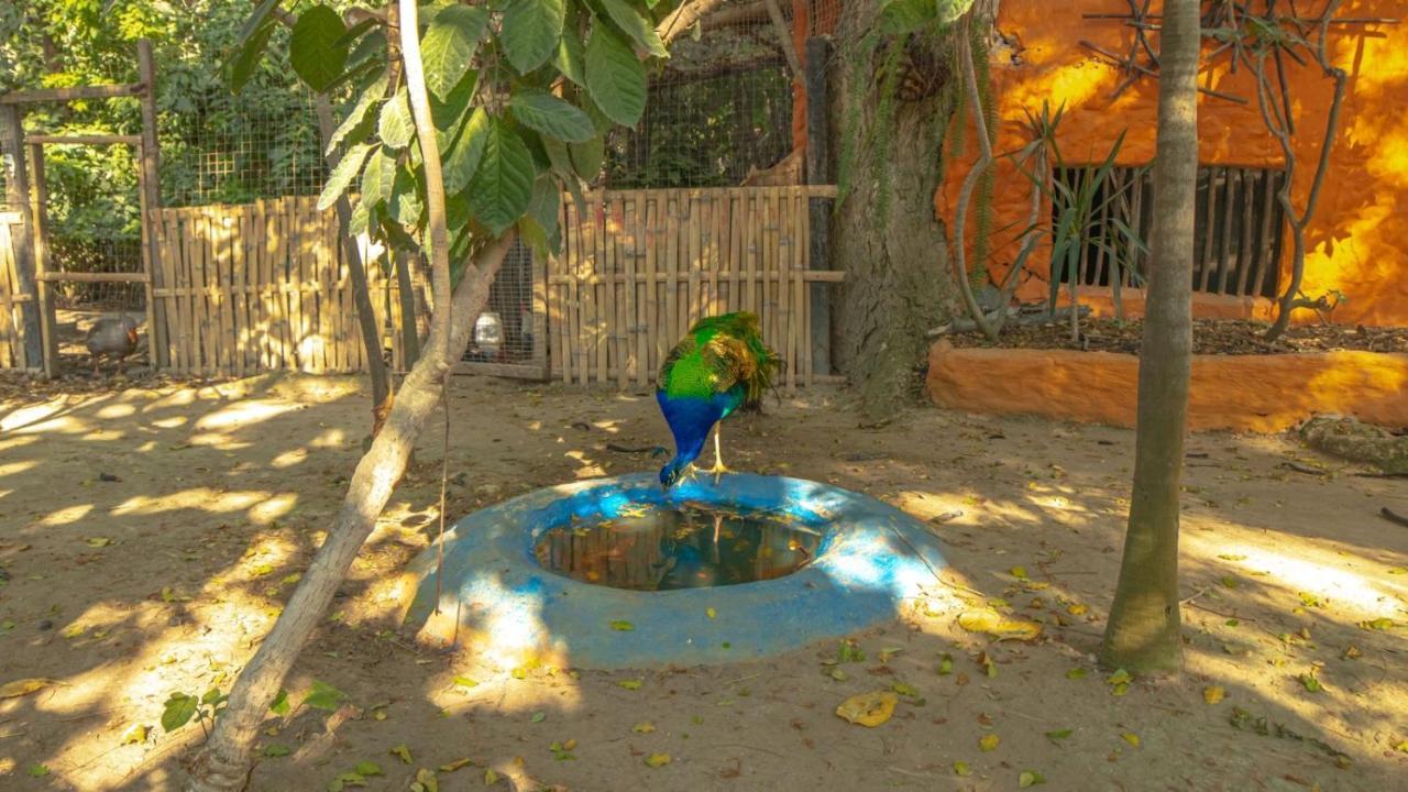 Hosteria Ecologica El Faro Salinas  Εξωτερικό φωτογραφία